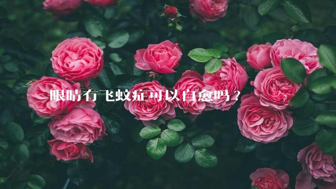 眼睛有飞蚊症可以自愈吗?