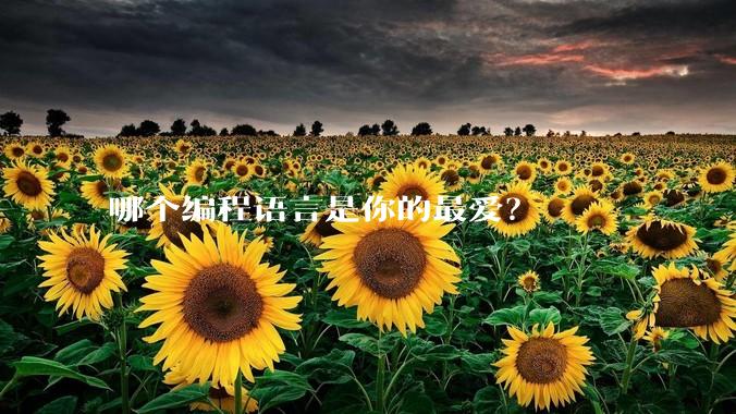 哪个编程语言是你的最爱？